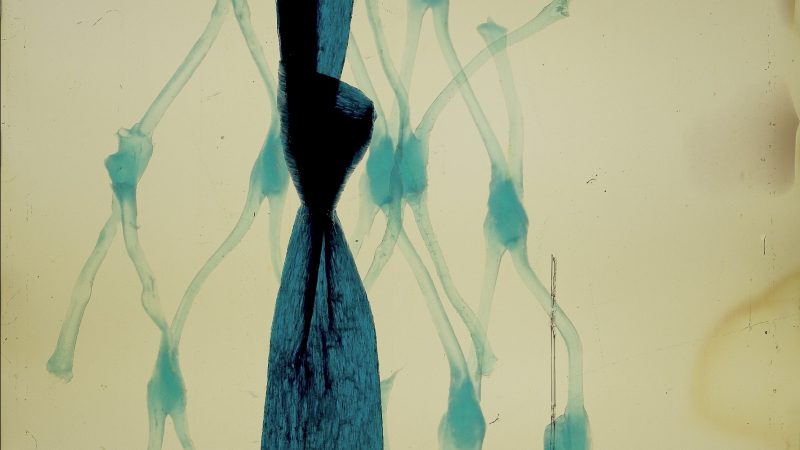 Geographies of Solitude