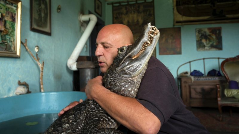 Foto DER MIT DEM KROKODIL TANZT