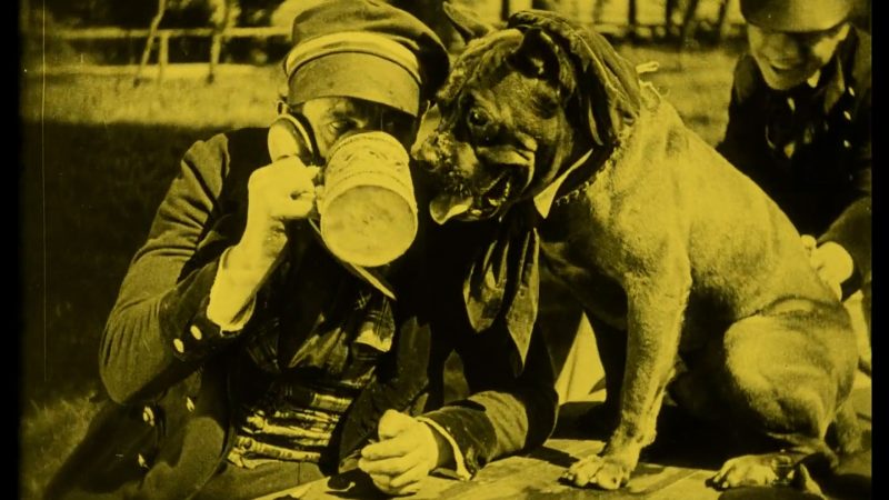 Foto Der Student von Prag