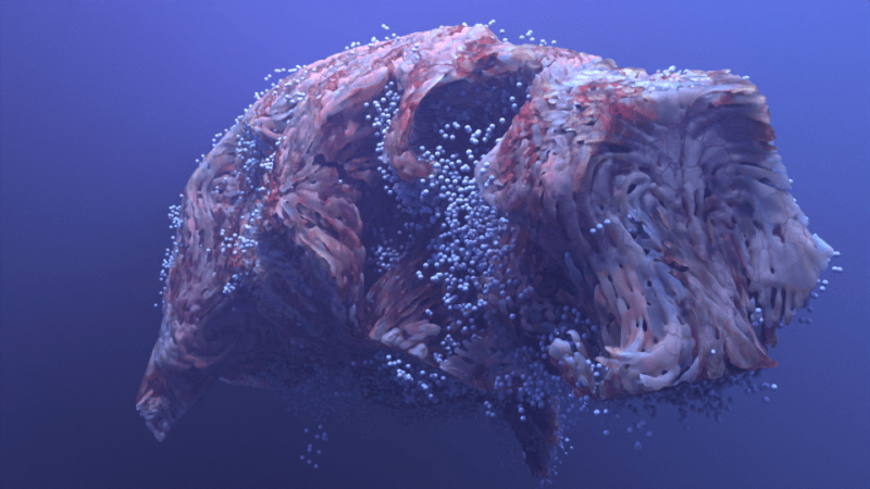 Foto Into the Violet Belly