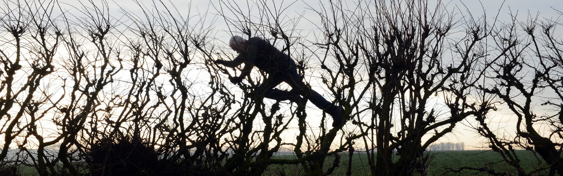 Header Leaning into the Wind