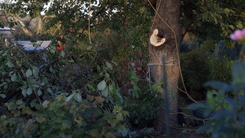 Foto Persönliche Familiengeschichten