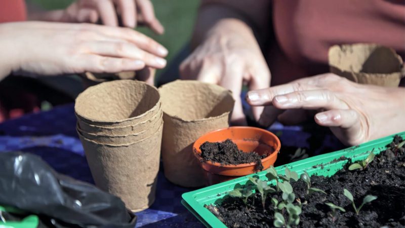 Foto Persönliche Familiengeschichten