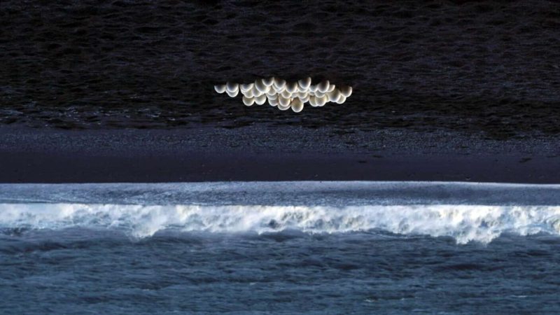 Foto Persönliche Familiengeschichten