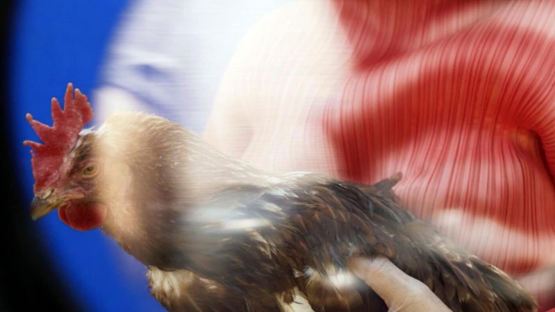 Foto Persönliche Familiengeschichten