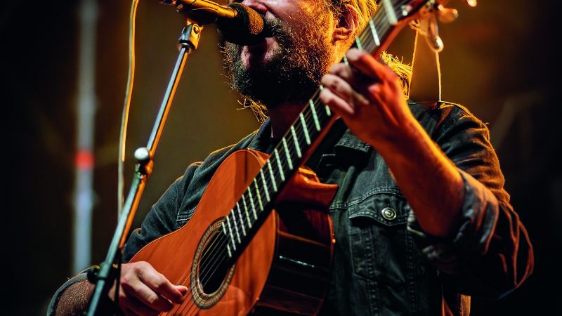 Foto En septiembre canta el gallo