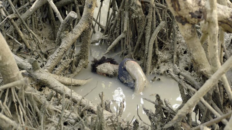 Foto Resonance Spiral