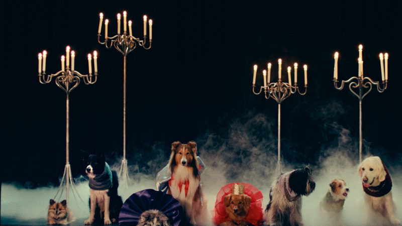 Foto SIT. PLAY. STAY.