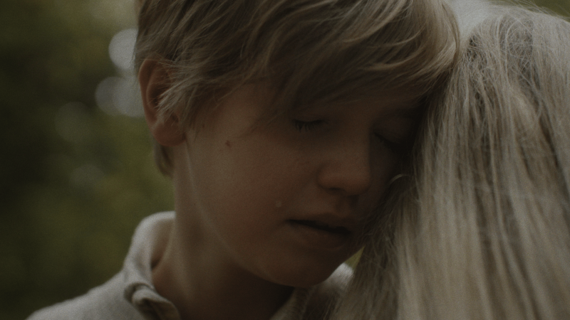 Foto Weil ich Leo bin