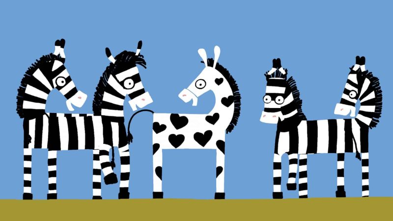 Foto ZEBRA