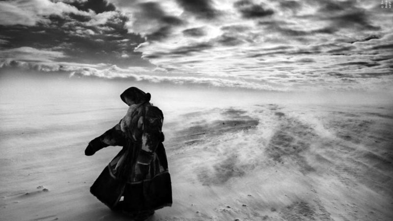 Foto Das Salz der Erde