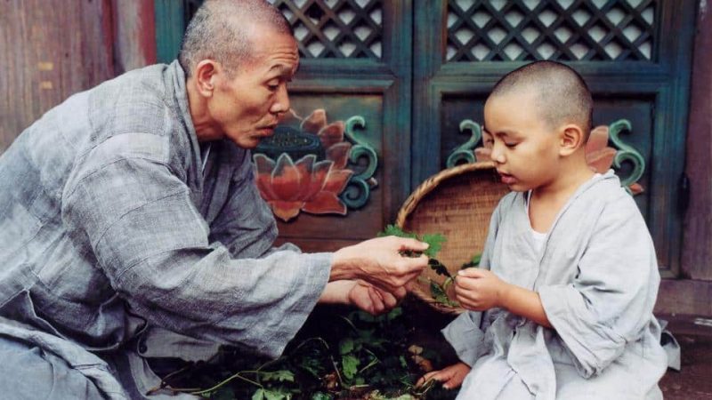 Foto: Frühling, Sommer, Herbst, Winter ... und Frühling