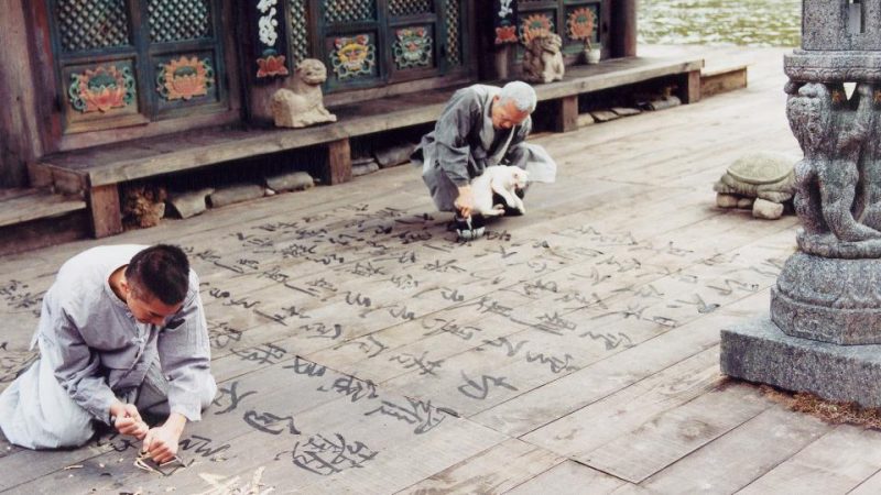 Foto: Frühling, Sommer, Herbst, Winter ... und Frühling