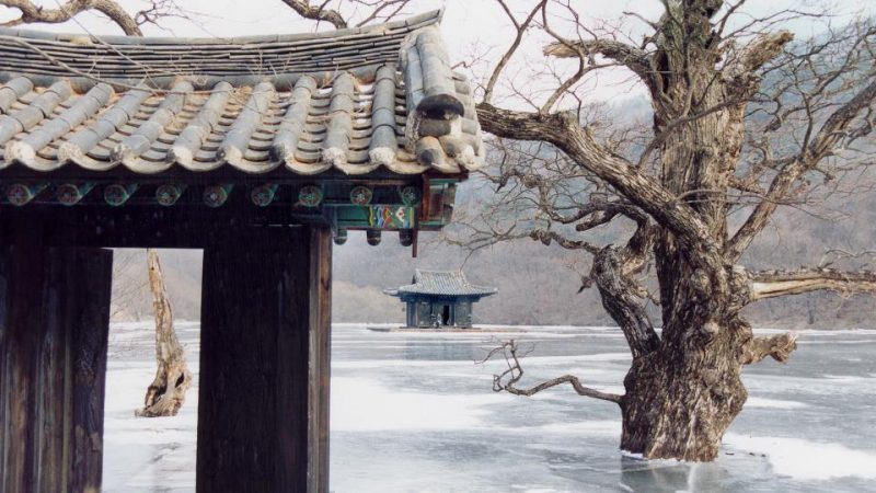 Foto: Frühling, Sommer, Herbst, Winter ... und Frühling