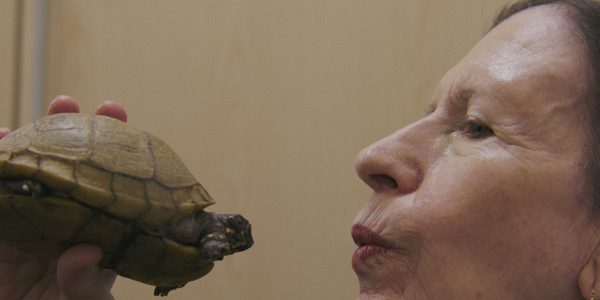 Monk in Pieces - Foto