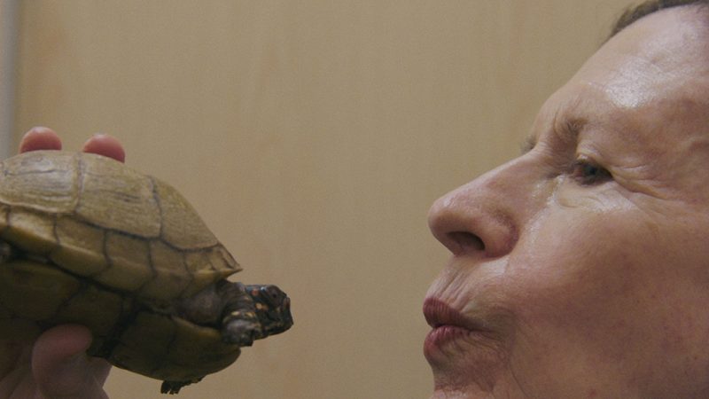 Monk in Pieces - Foto