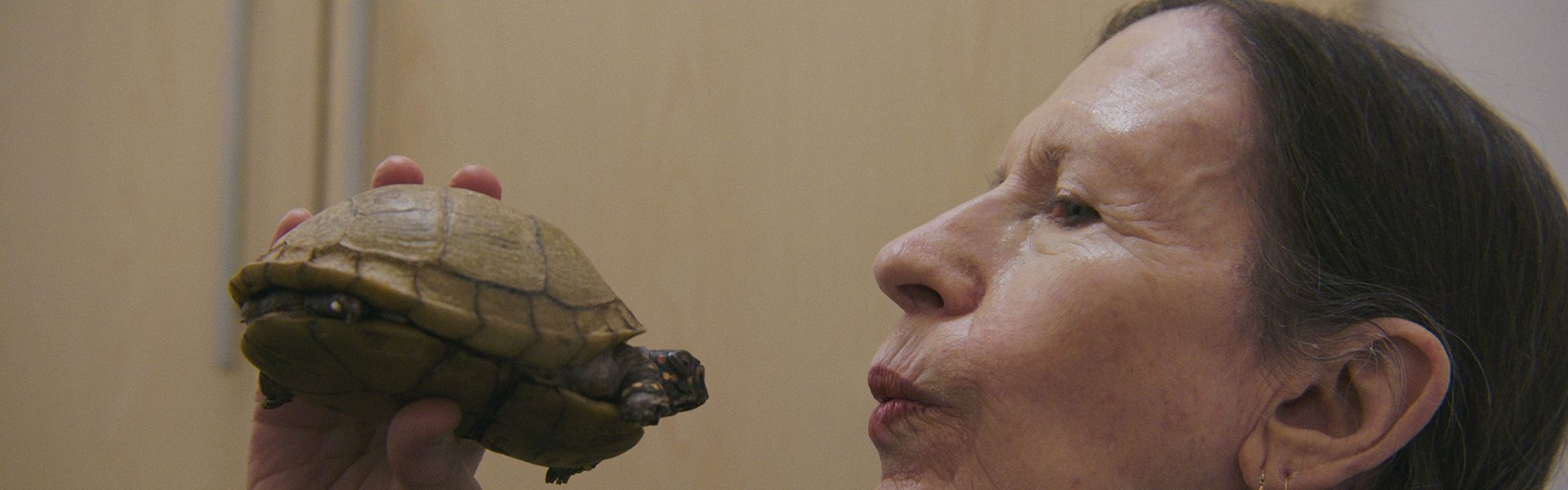 Monk in Pieces - Foto